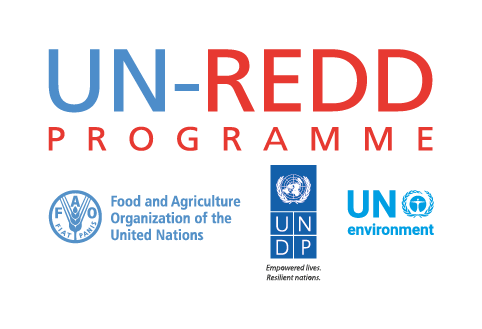 UN-REDD Logo