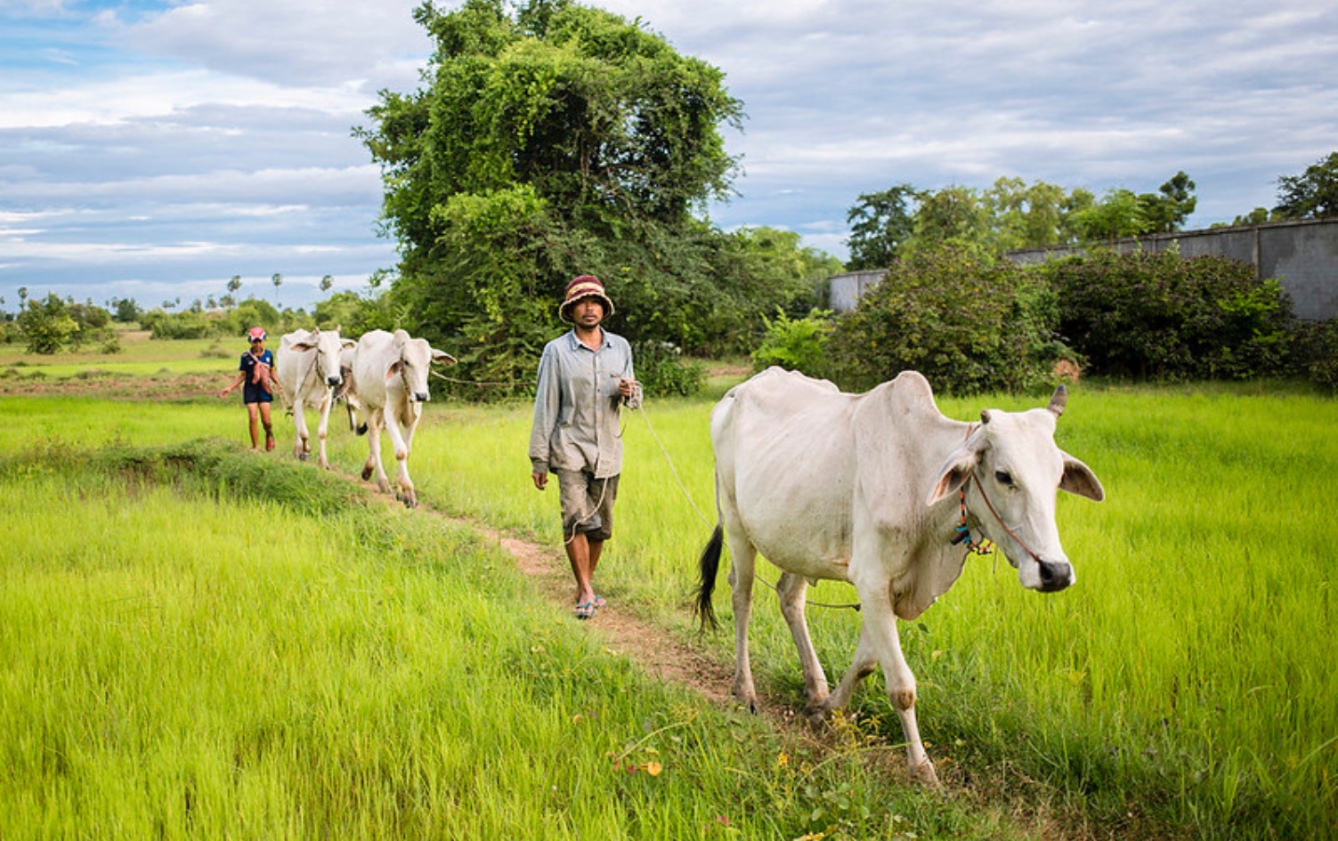  Photo: Manuth Buth/UNDP Cambodia