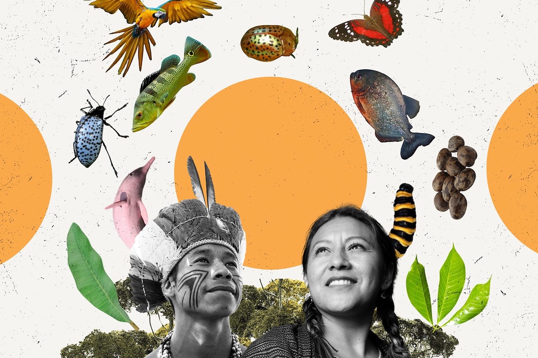 indigenous explainer