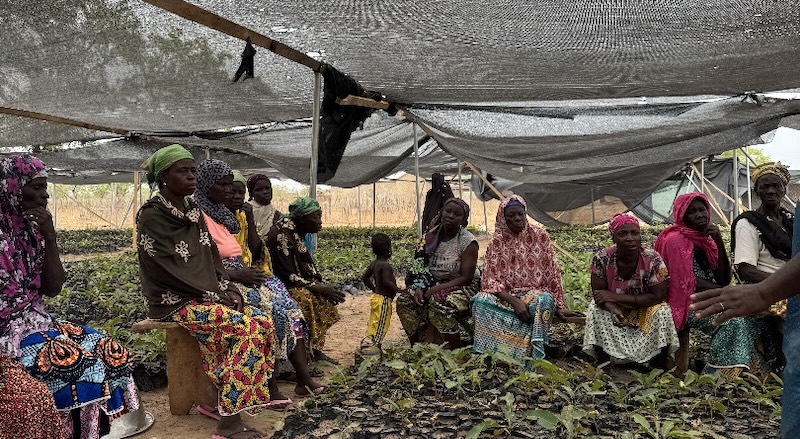 Two men work on the gardens of the climate-smart farm school in Malawi