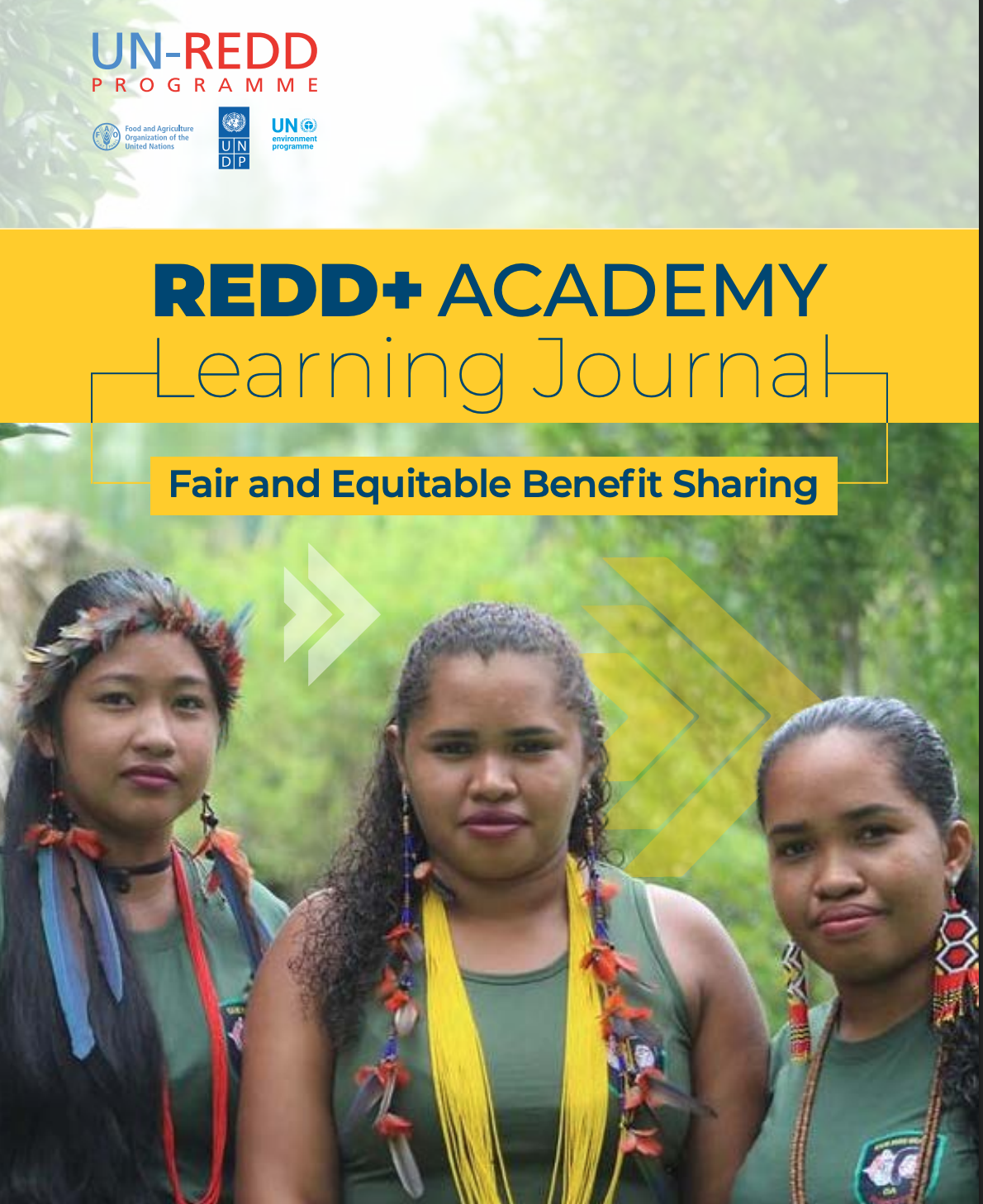 REDD+ ACADEMY Learning Journal