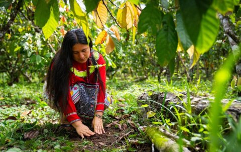 Indigenous woman in forest 