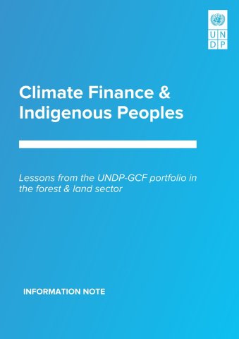 Climate finance and Indigenous peoples