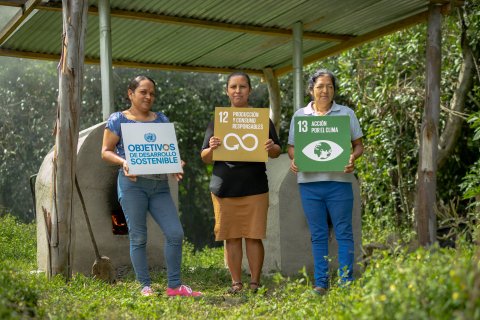 UNDP Honduras