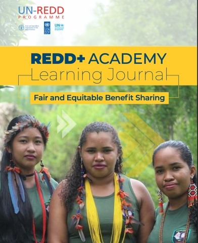 REDD+ ACADEMY Learning Journal