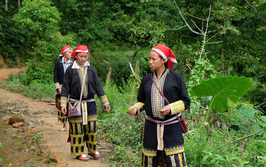 Photo:UN-REDD Programme Photo:UN-REDD Programme