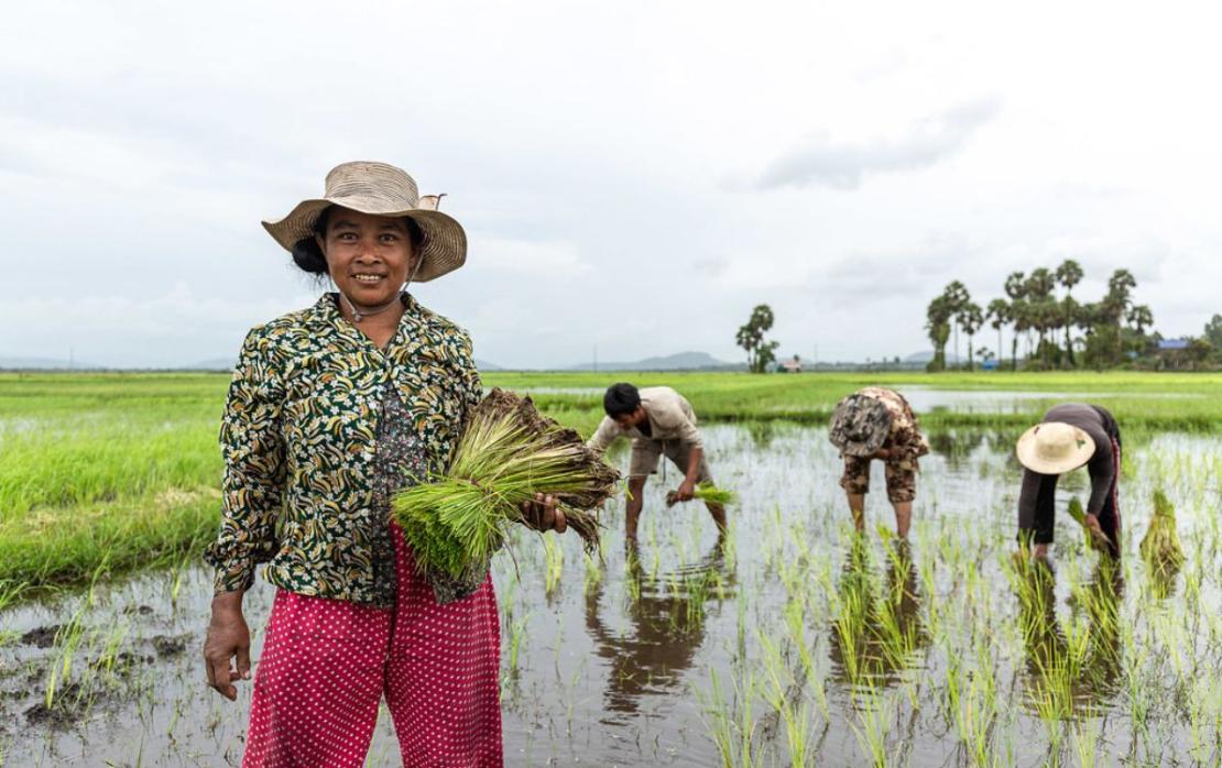 © Manuth Buth/UNDP Cambodia cover image