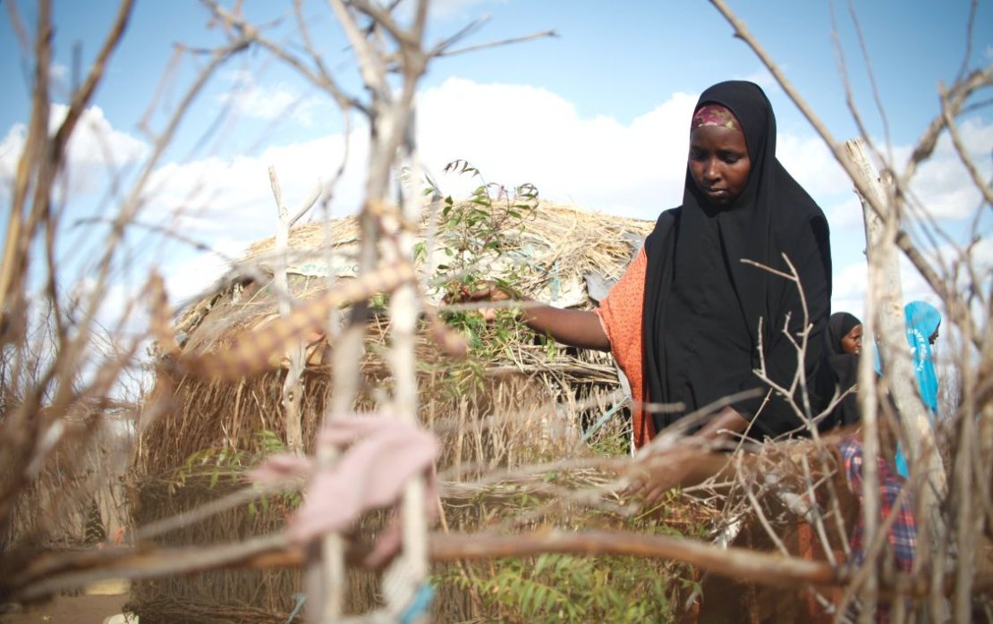 Photo credit: UNDP Kenya Cover image