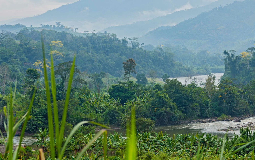 View from a community in Picota province, Peru, the site of a CIFOR study on REDD+ safeguards and benefit-sharing. © CIFOR/Marlon del Aguila Guerrero Cover image