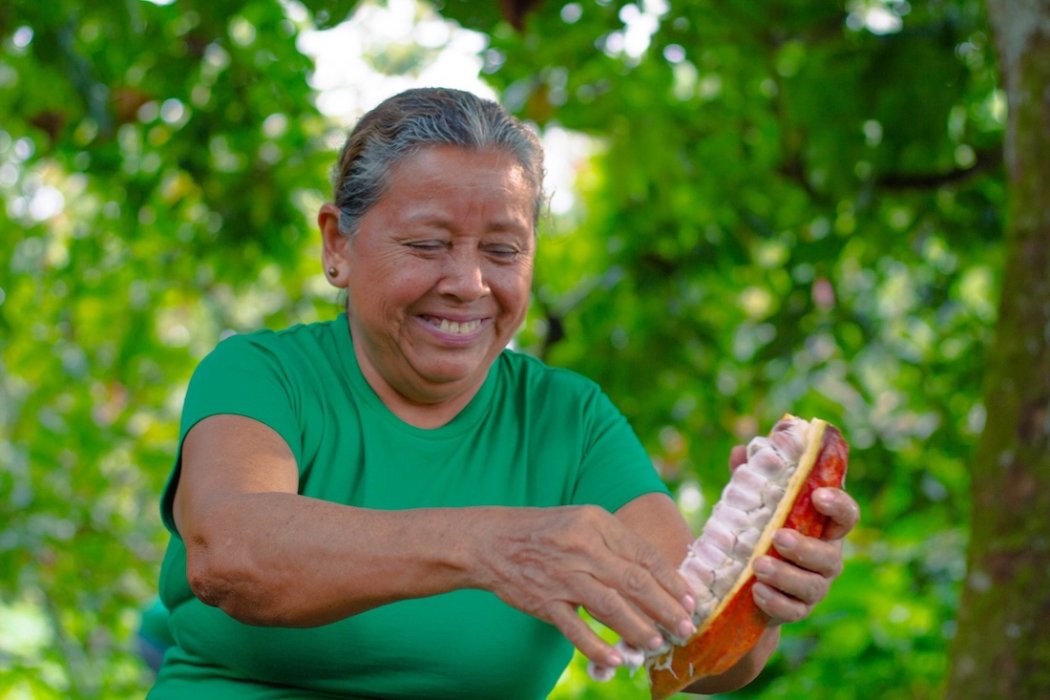 woman harvesting deforestation