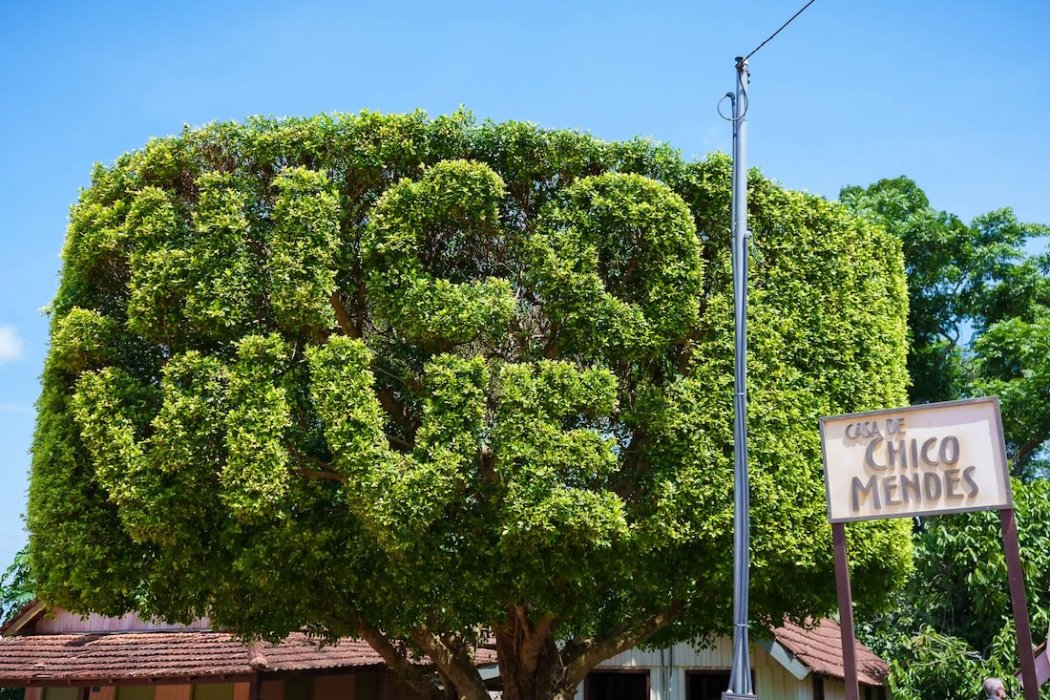 Casa de chico mendes