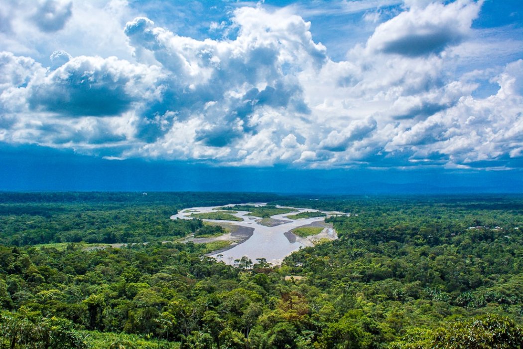 Ecuador’s forests, from the lush Andean river basins to the southern dry forests, are under threat, mostly from agriculture.